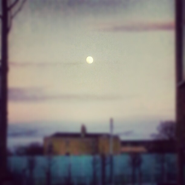 Awesome moon over city. Phone camera did it no justice..