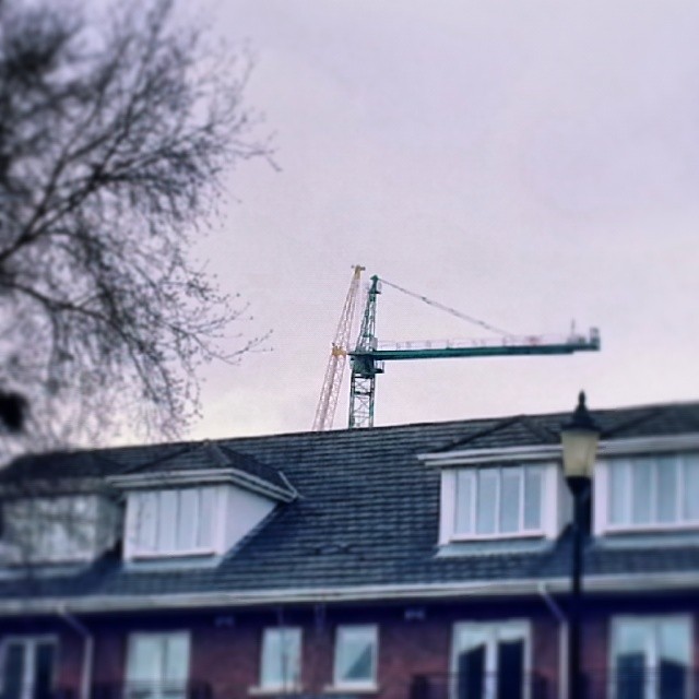 Sunday morning erection