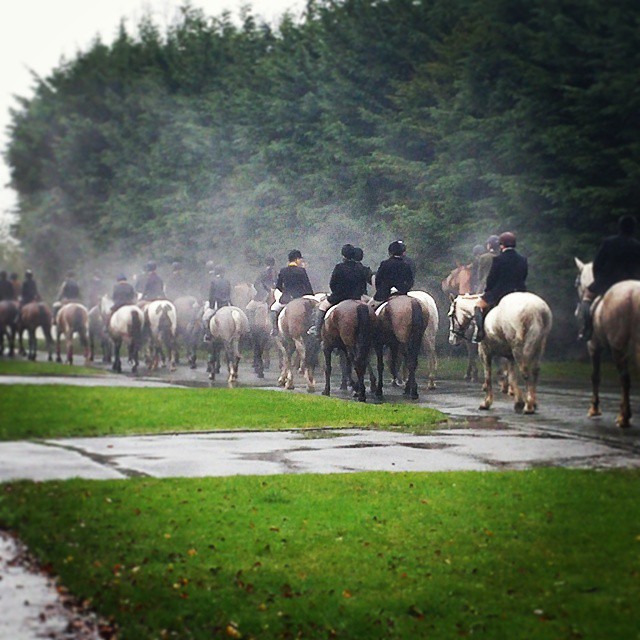 Arse end of the Ward Union stephens day hunt