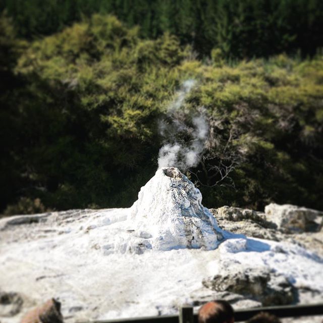 Waiting on the geyser to blow