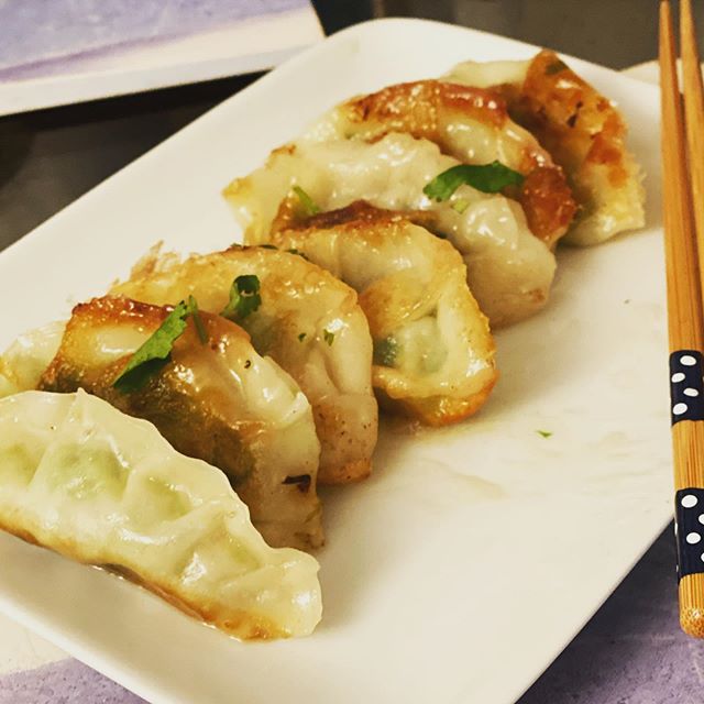 Homemade Prawn gyozas for dinner!