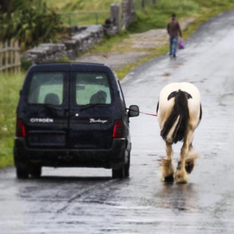 Only in Ireland - one man walking his horse...