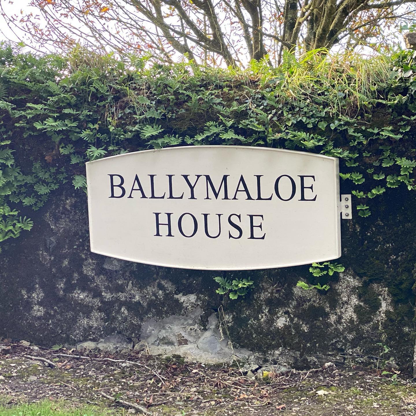 Friday night nyoms at @ballymaloe_house