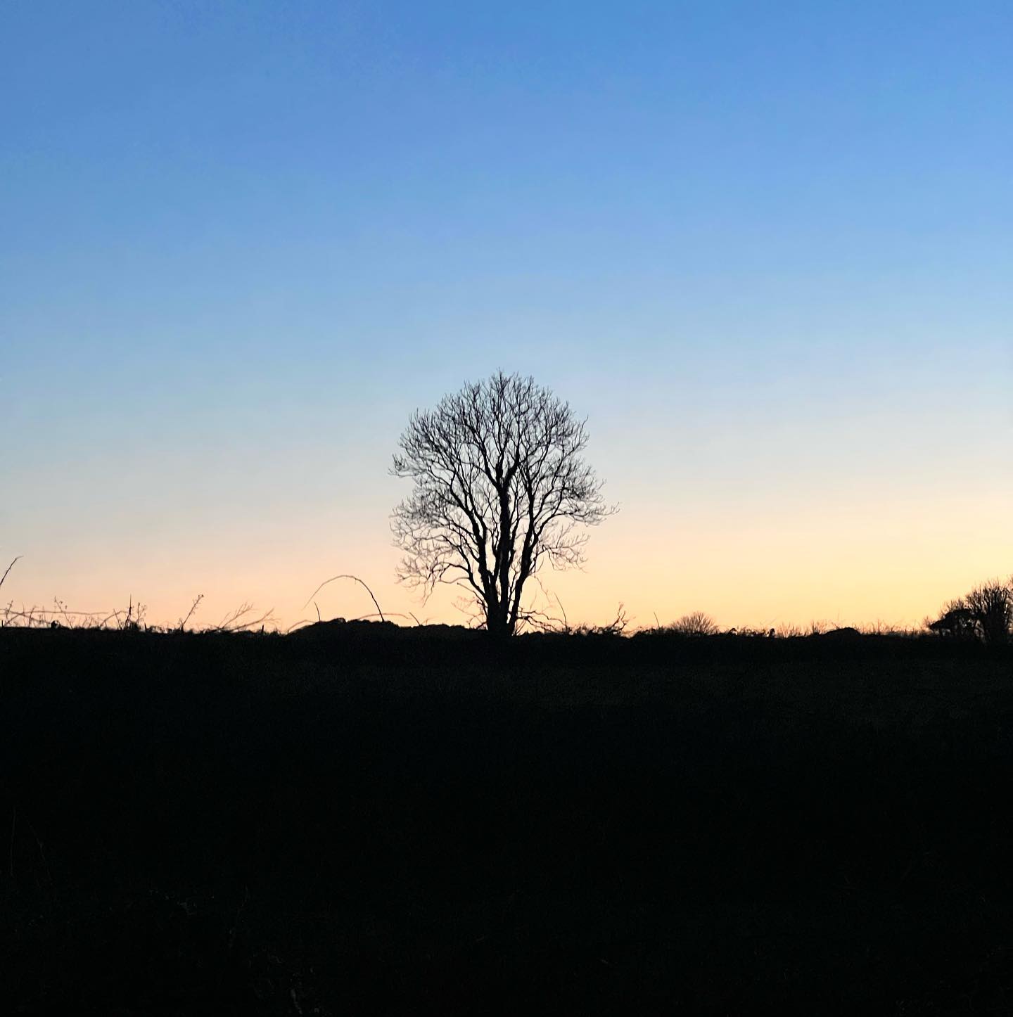 Sunset in west cork