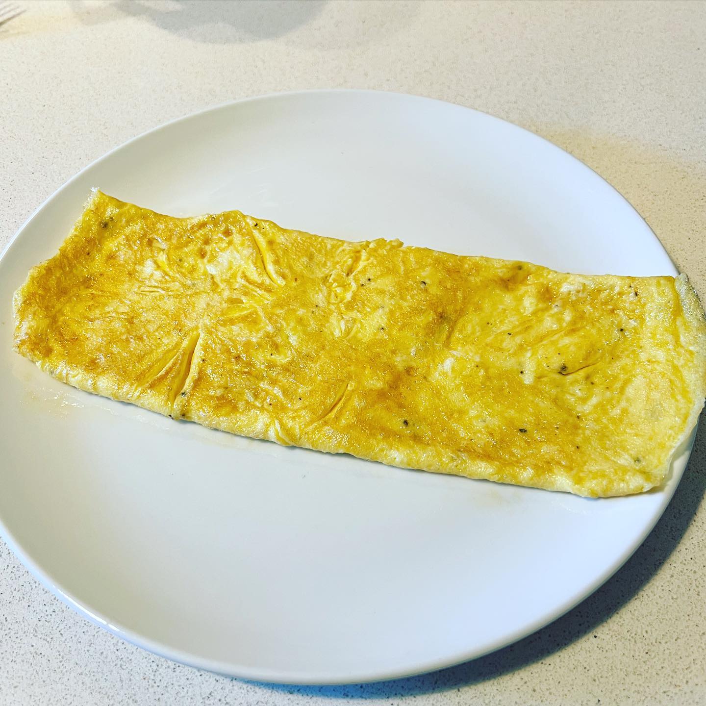 Omelette the Julia child way… converted…🤌🏻