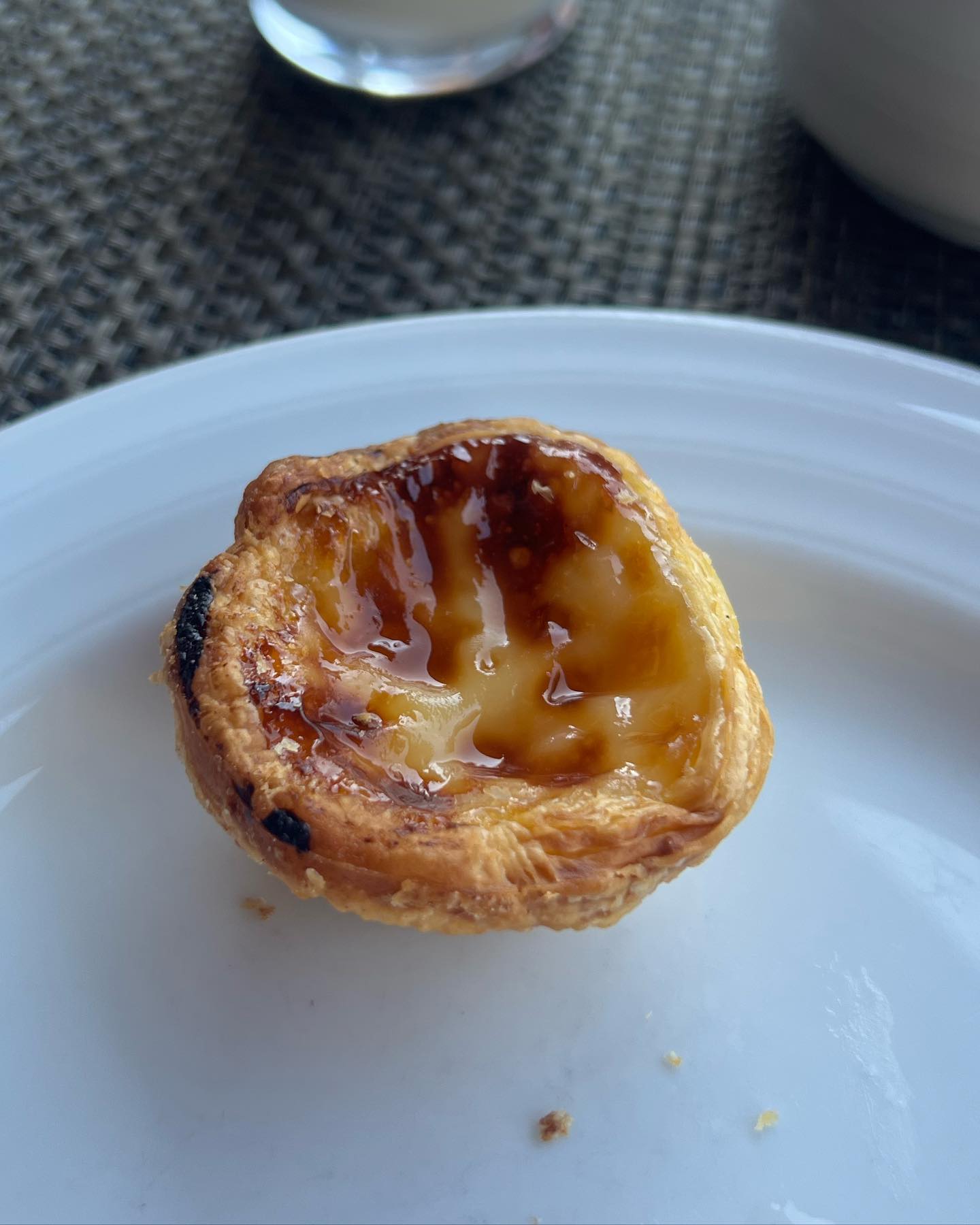 Pastel de nata with me new bird… she’s a chirpy one!